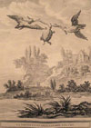La Fontaine's Tortoise and Two Ducks - Forani Turtle Collection