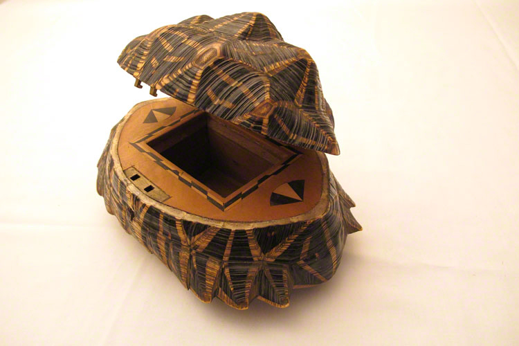 Carapace d'une tortue d’Inde transformée en boîte