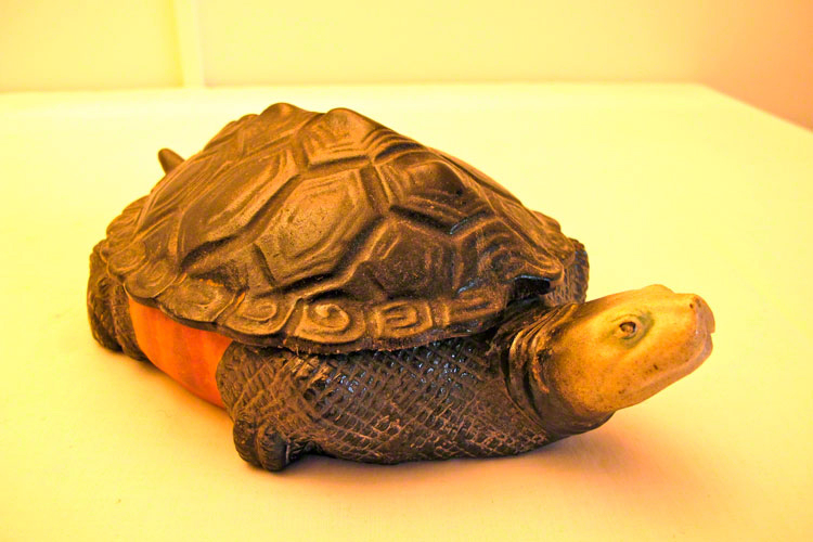 Plat de service de soupe de tortue diamond-back