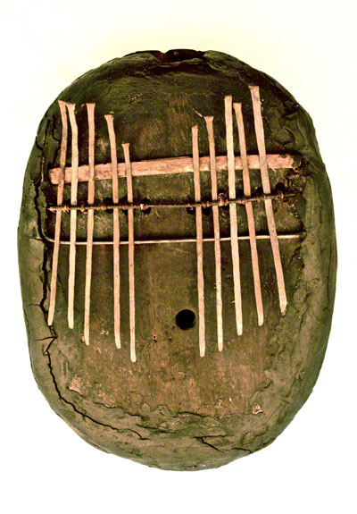 Dossière d'une carapace transformée en lamellophone, vu de face