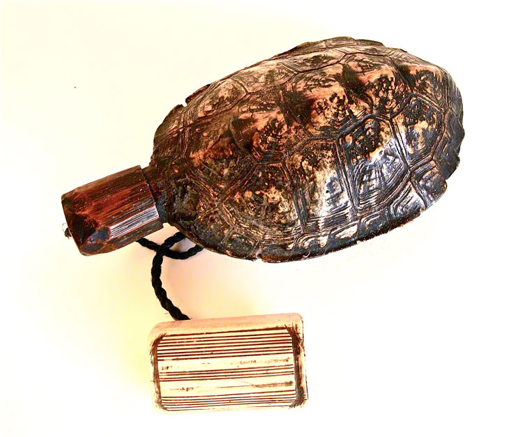 Carapace transformée en flacon sagemono
