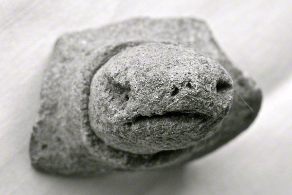 Turtle head and  neck fragment of ceramic